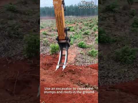 Use an excavator to remove tree roots from the ground