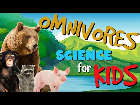 What is an Omnivore? | Science for Kids