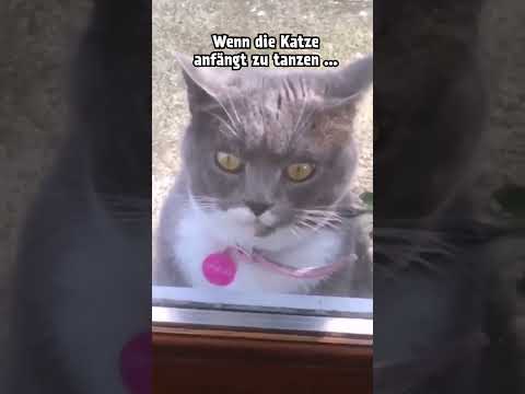 Video Thumbnail: Warte ... warte ... mega nützliche Tastaturkürzel!