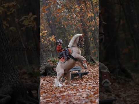 ponies have so much sass😂❣️ #youtube #horse #edit #equestrian #fail #shorts #shortvideos #funny