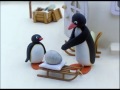 DESENHOS ANIMADOS DO PINGU 13