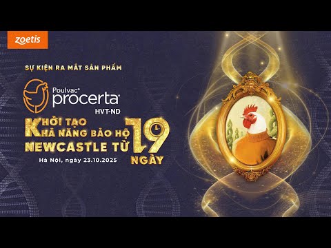 HỘI THẢO KHOA HỌC: RA MẮT SẢN PHẨM ZOETIS VIỆT NAM #viettools #viettoolsluxurytour #mice #event