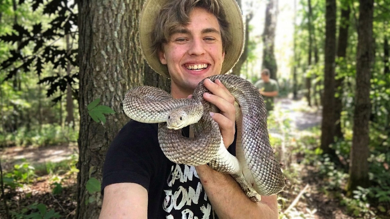 This Man Ranks Snake Bites on a Pain Scale