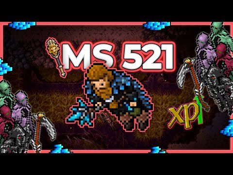 MS 521 Hunt Solo Brain Grounds 6.2kk/h Raw - Tibia Hunt [13.11] #tibia #tibiahunt