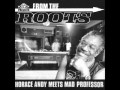 Horace Andy Meets Mad Professor - Dem Lie