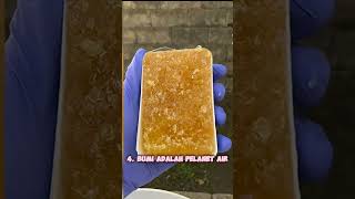 Download lagu Fakta Unik Bumi || part 2 #animasi #bumi #hiburan #lucu #shortvideo #videos mp3