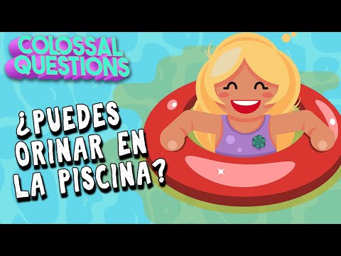 ¿Deberías orinar en la piscina? | PREGUNTAS COLOSALES