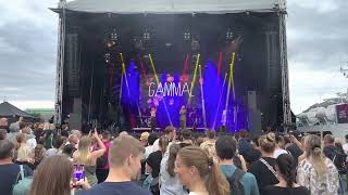 Blommor där du står GAMMAL 20 augusti 2022