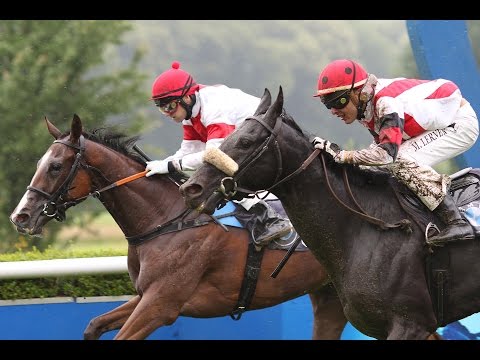Düsseldorf: Preis der BMW Niederlassung Düsseldorf (D) - Sieger: Ruby Red