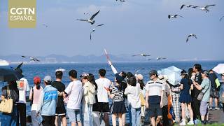 Cada vez más turistas extranjeros eligen las diversas regiones de China para sus vacaciones