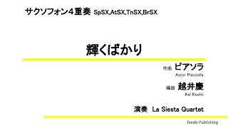 Download lagu 【サクソフォン4重奏】輝くばかり(ピアソラ/越井慶)演奏:La Siesta Quartet mp3 Download lagu 【サクソフォン4重奏】輝くばかり(ピアソラ/越井慶)演奏:La Siesta Quartet mp3