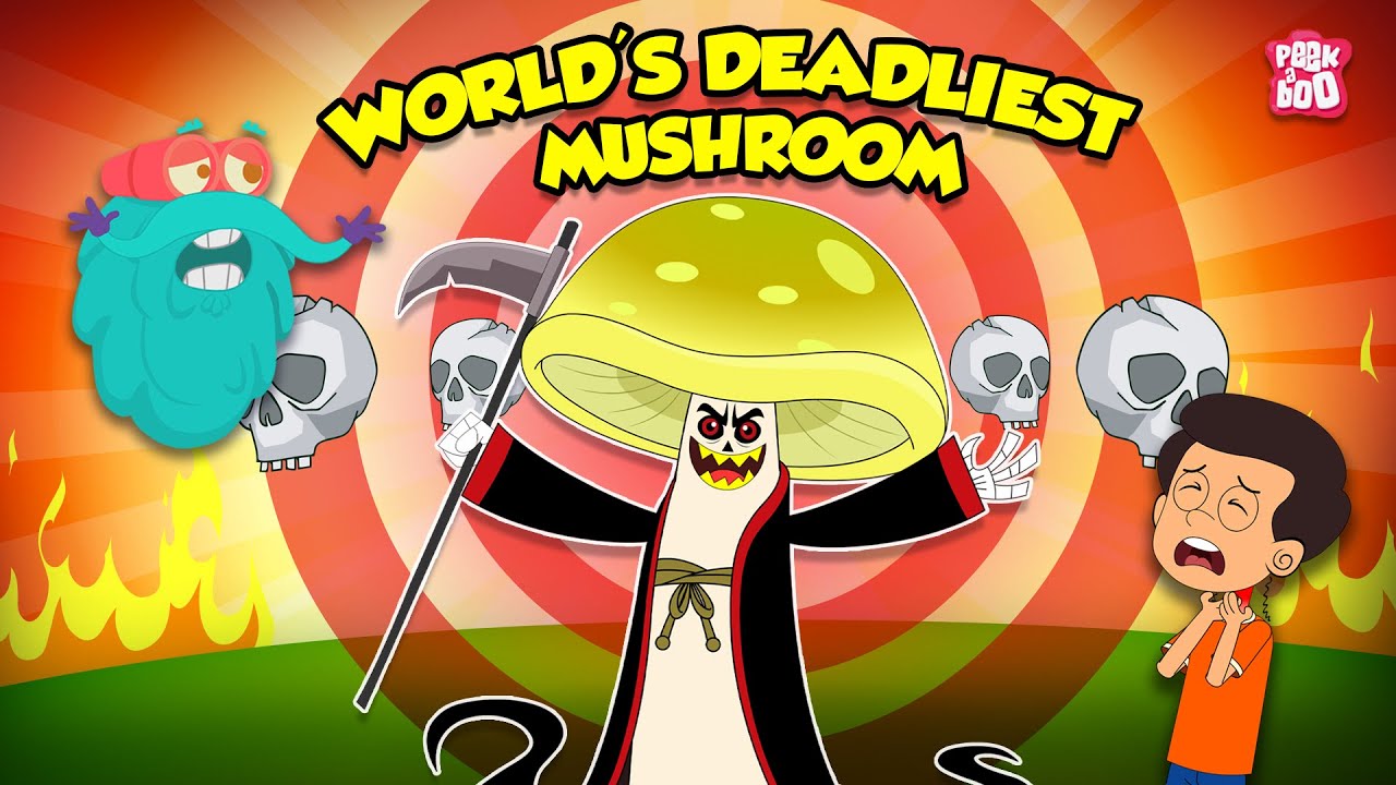 World's Deadliest Mushroom - Death Cap Mushroom | Poisonous Mushrooms | Amanita Phalloides