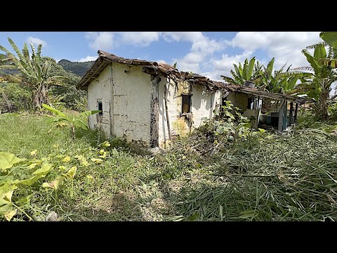 NESTA CASINHA DE PAU A PIQUE PASSEI A MINHA INFÂNCIA