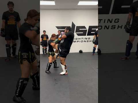 Long Kickboxing Combo