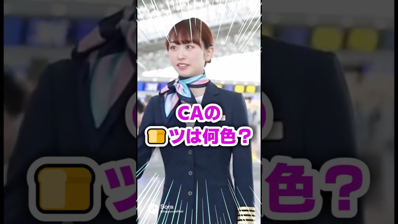 【速報】CA松本さんに質問してみた