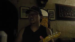 Until The Sun - Pax 217 (Ukulele Cover)