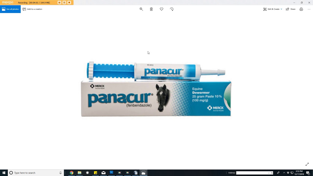 Watch video Guide On What & When Your Puppy Needs What - Deworming, Vaccines, Etc Now Guide On What & When Your Puppy Needs What - Deworming, Vaccines, Etc