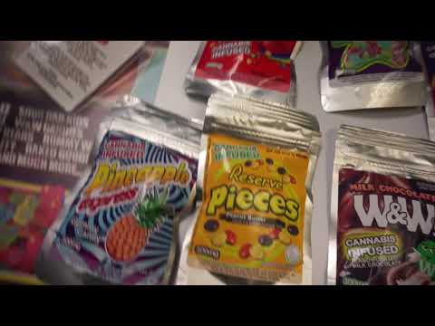 El Kintae D. A. M. P.  PRODUCED BY J HURT