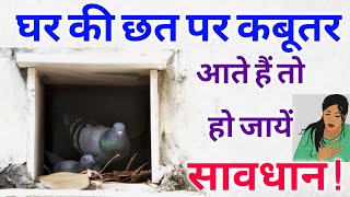 घर की छत पर कबूतर आते हैं, तो हो जायें सावधान ! जानें घर में अगर कबूतर का घोंसला है तो क्या हो सकता video
