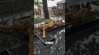 VEJA O QUE VAI ACONTECER COM VOCÊ DEPOIS DA MORTE!!