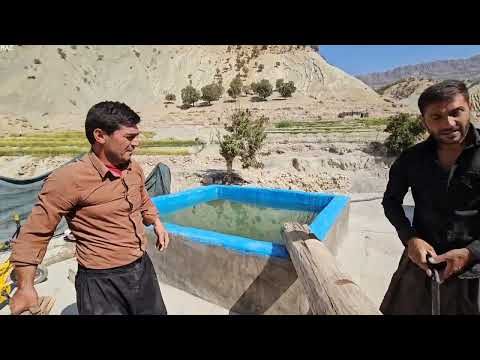 Family Documentary of Salahaddin | Roof Construction, Farm Visit & Heartfelt Conversations