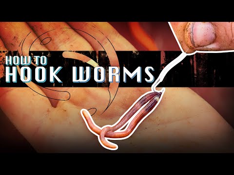 How To Hook A Worm With Guru