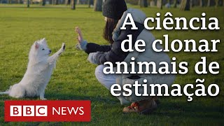 Miniatura do vídeo