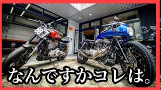 【珍しい】ハーレー？ハーレー！ハ〜レ〜