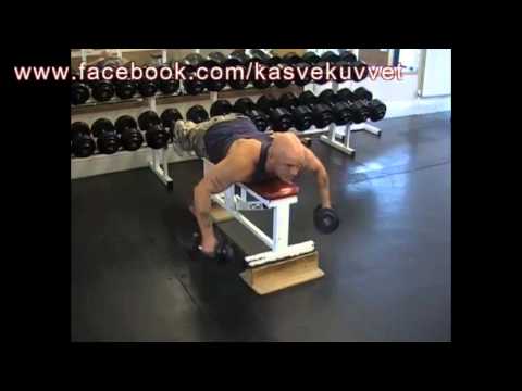 Lying Dumbell Reverse Fly