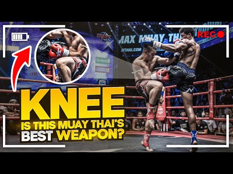 How To Do The Perfect Muay Thai Knee Strike!