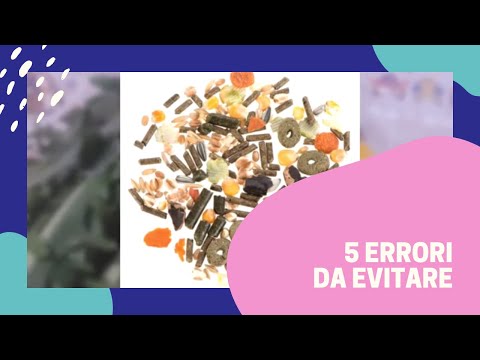 Il condizionamento di agenti dietro le risposte di capelli chiarificate Consultazione del trichologist a una perdita di capelli