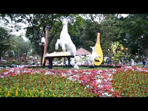 Sắc xuân - Nguyễn Hồng Nhung