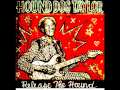 Hound Dog Taylor - Sitting Here Alone 