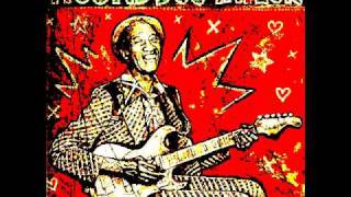 Hound Dog Taylor - Sitting Here Alone