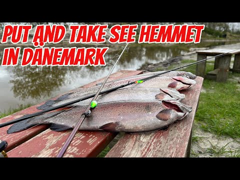 Trout fishing in Denmark at the Put and Take Lake Hemmet