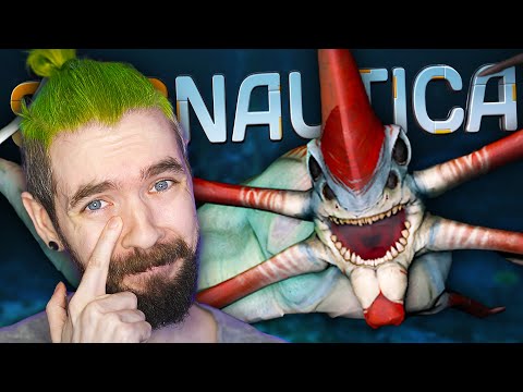 Beating the ENTIRE game in one video