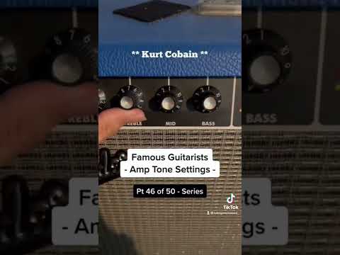 Famous Guitarists - Amp Tone Settings