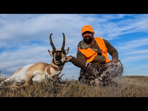 DIY Wyoming Public Land Pronghorn
