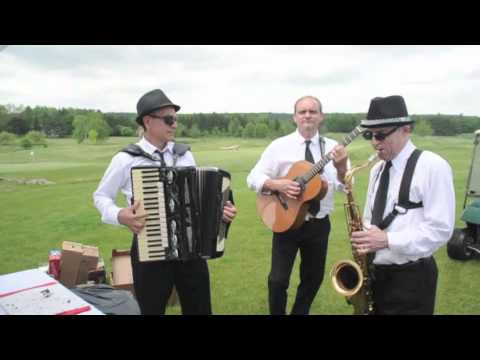 Promotional video thumbnail 2 for Toronto's Award-Winning Accordion Player