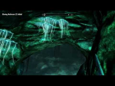 Skyrim 100% Maximized Legendary Playthrough - 193. Ancient Power #1