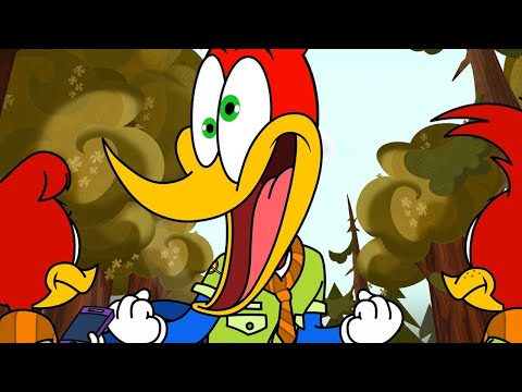 Woody Woodpecker 2018 | 108  Scout’s Dishonor | BRAND NEW Episodes | Kids Movies