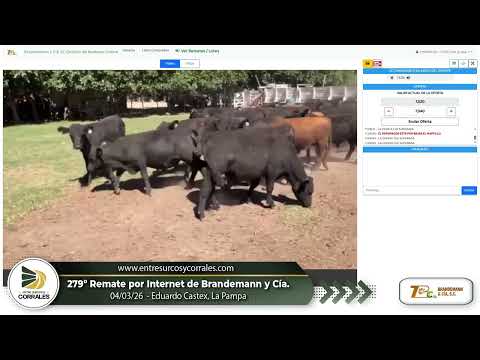 04-03-26 - 279º Remate por Internet de Brandemann y Cía. - Eduardo Castex, La Pampa