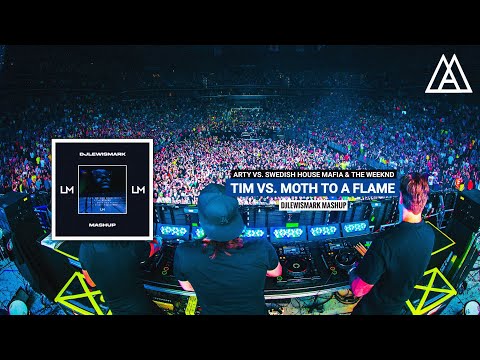 ARTY vs. Swedish House Mafia & The Weeknd - Tim vs. Moth To A Flame (DJLewisMark Mashup)