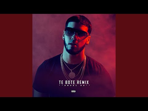 Te Bote (Remix)