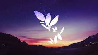 Jon Hopkins - Feel First Life (Zimo's Intimate Remix)