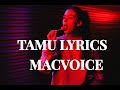 Macvoice ft Rayvanny - Tamu music Lyrics