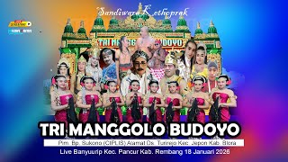 Download lagu TRI MANGGOLO BUDOYO MALAM || Ds. Banyuurip Pancur Rembang 18 Januari 2026 || MEDIA TAMA PUTRA AUDIO mp3