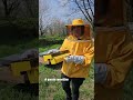 titolo video