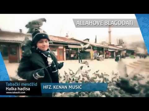 hfz. Kenan Musić - Allahove blagodati