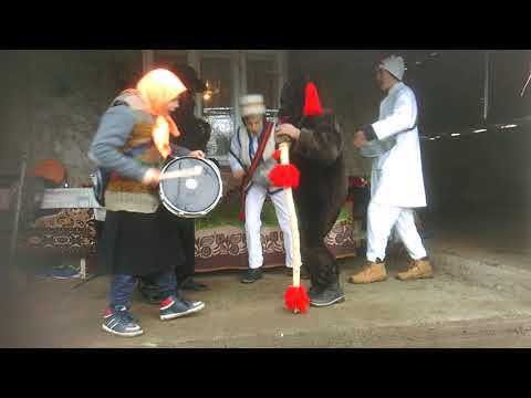 Ursul de la Odaia Bursucani😷😷😷😱